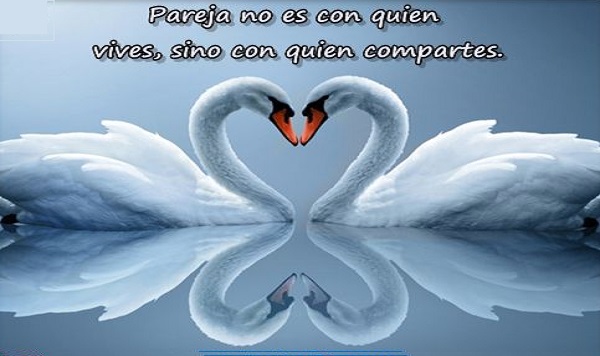 04036be53e9b895ec06ffa39f4a0647f--soul-mates-kos.jpg