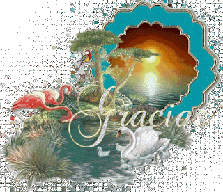 1dd7b9a50f622127ff979f850b08a748o.gif