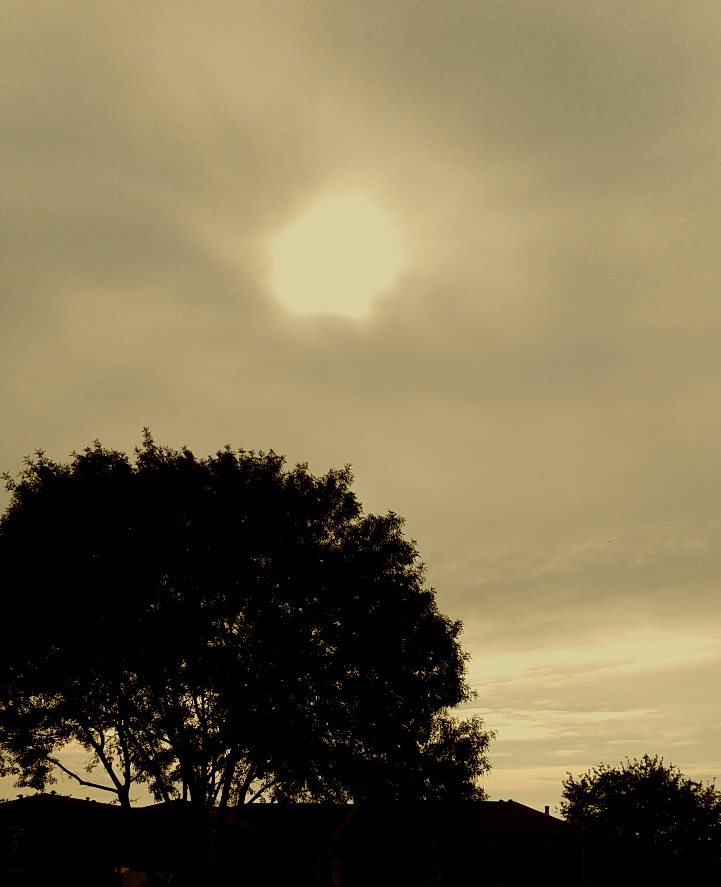 20170625_031626.jpg