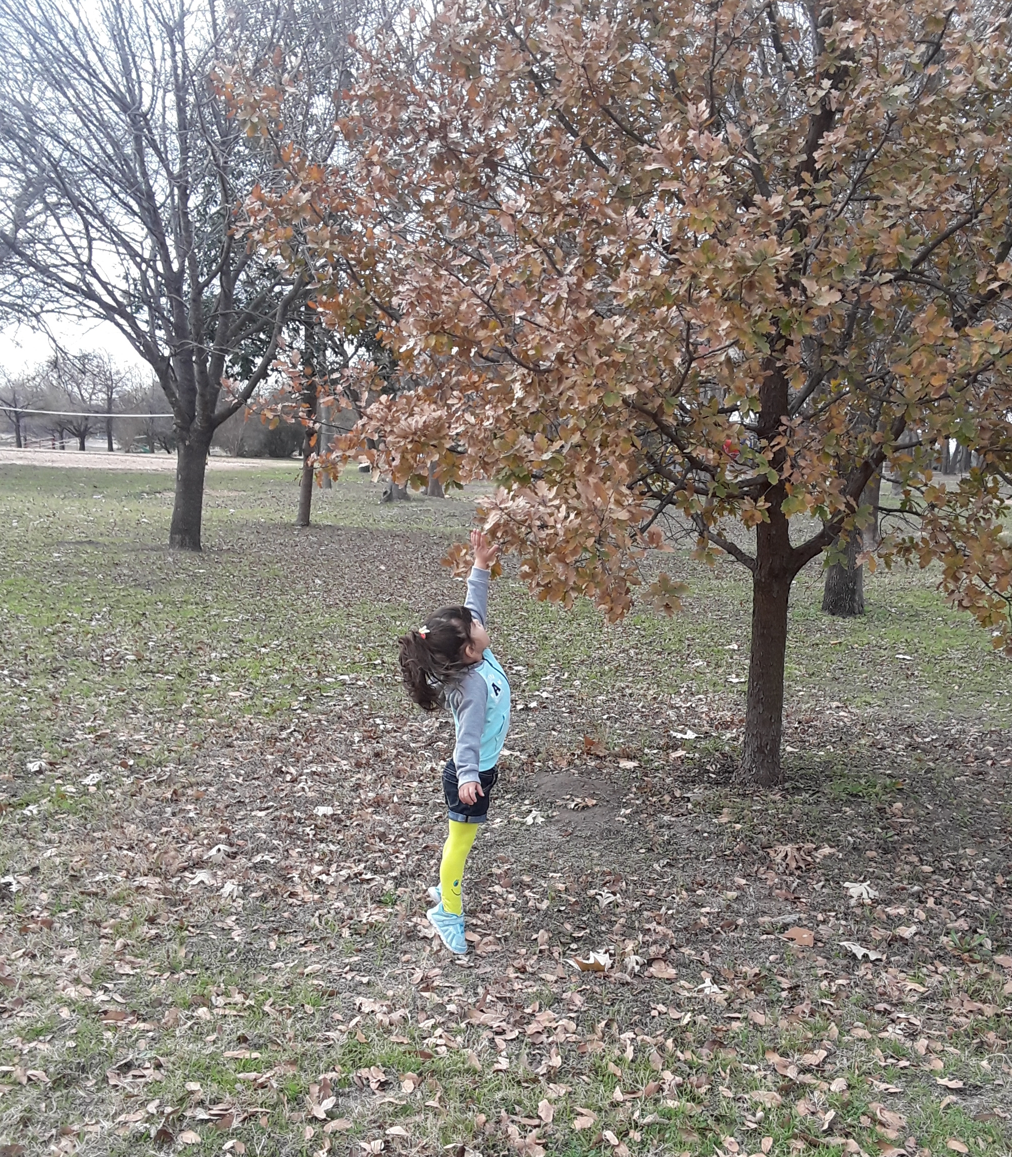 20180115_175400.jpg