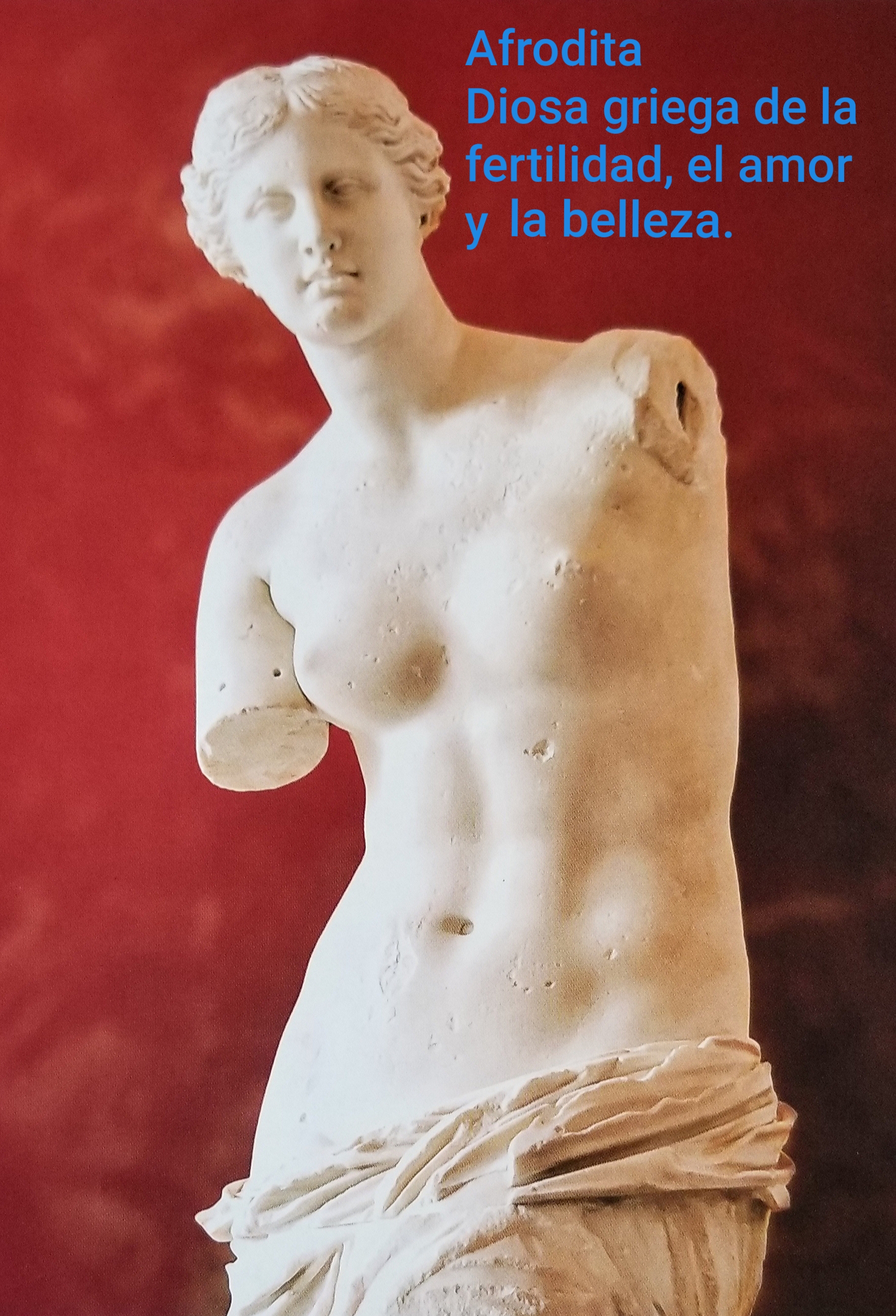 20180808_191118.jpg