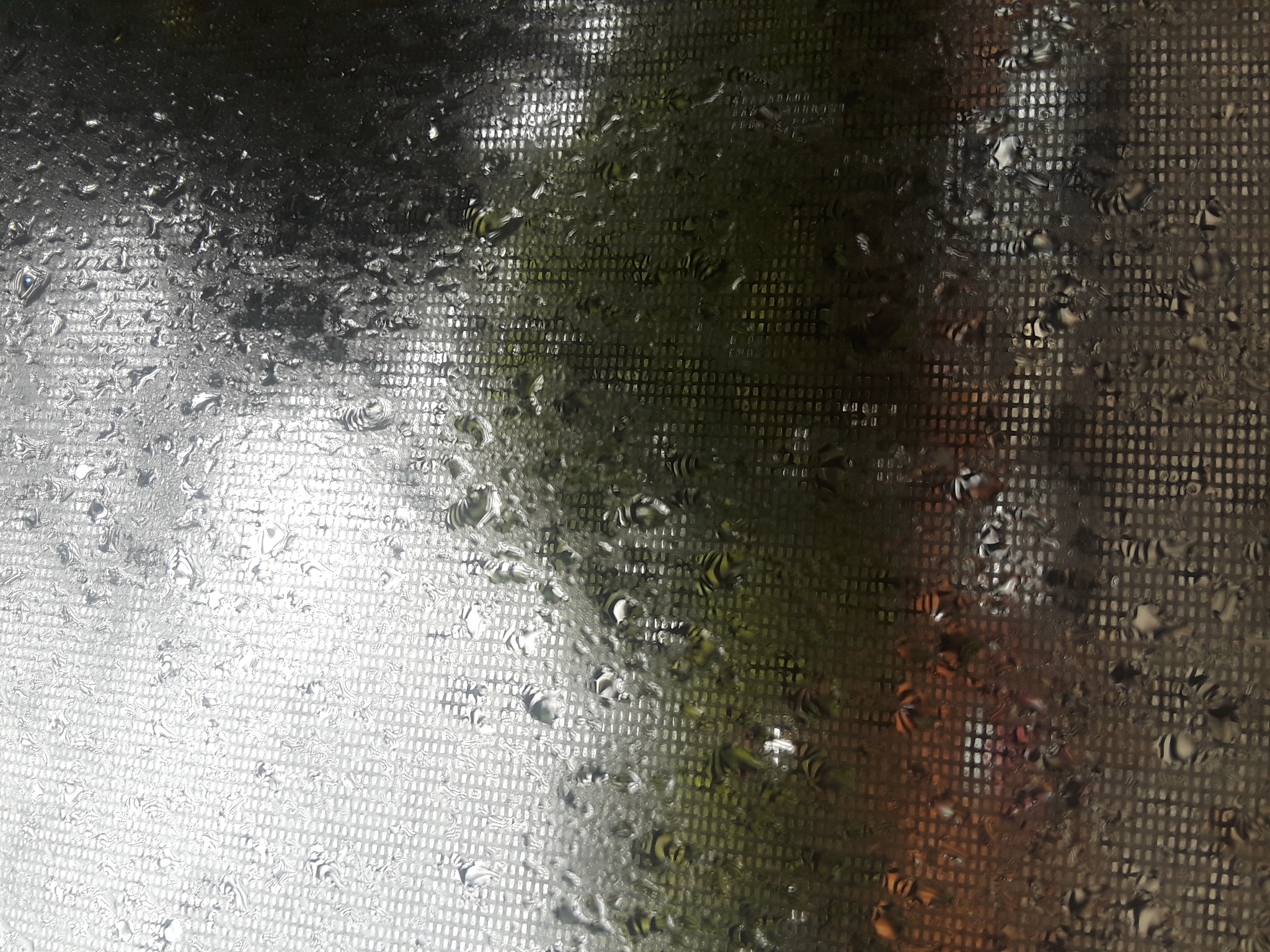 20180909_113317.jpg