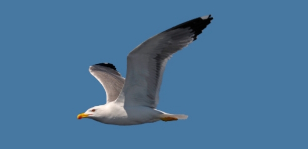20190815_224134.jpg