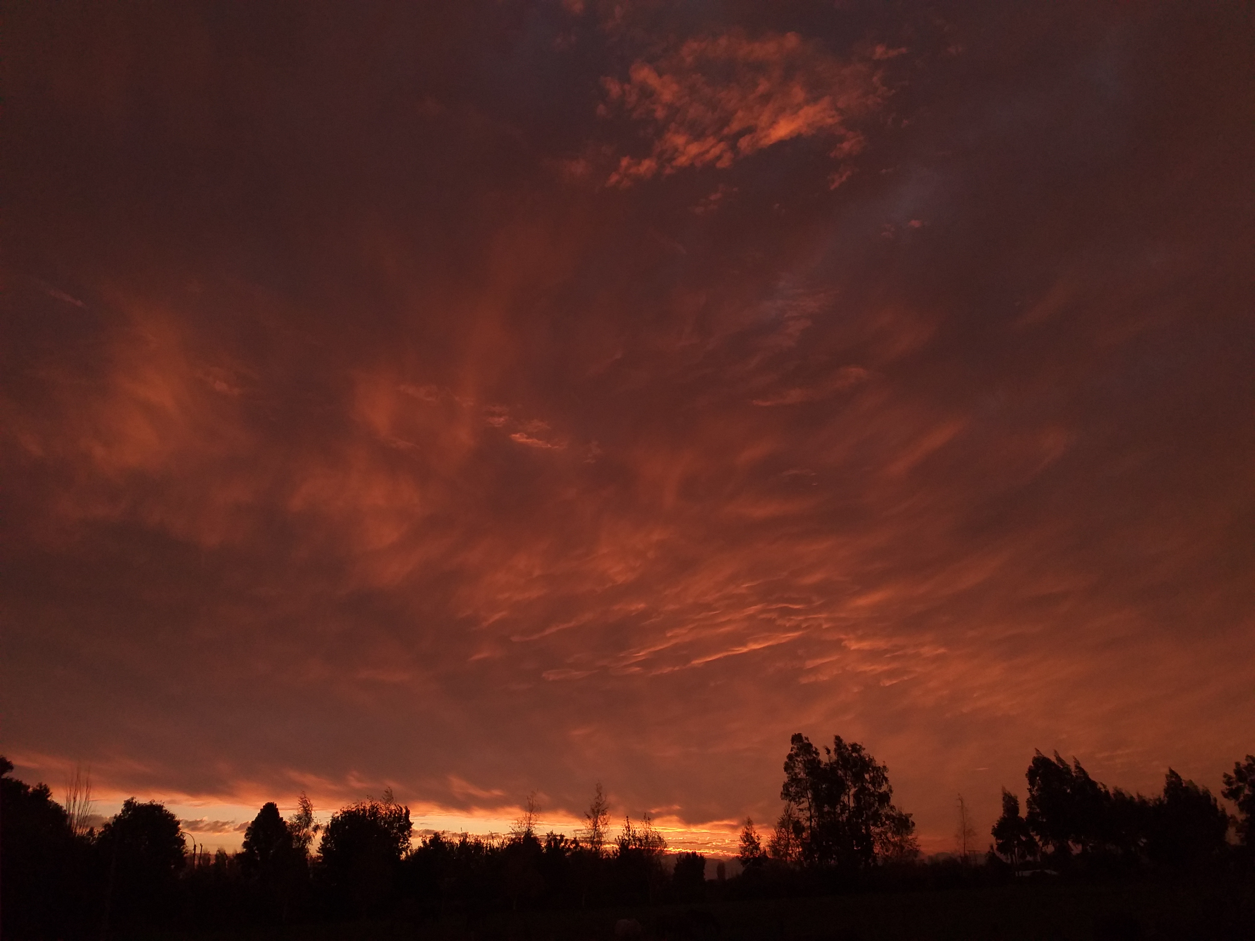 20200508_175704.jpg