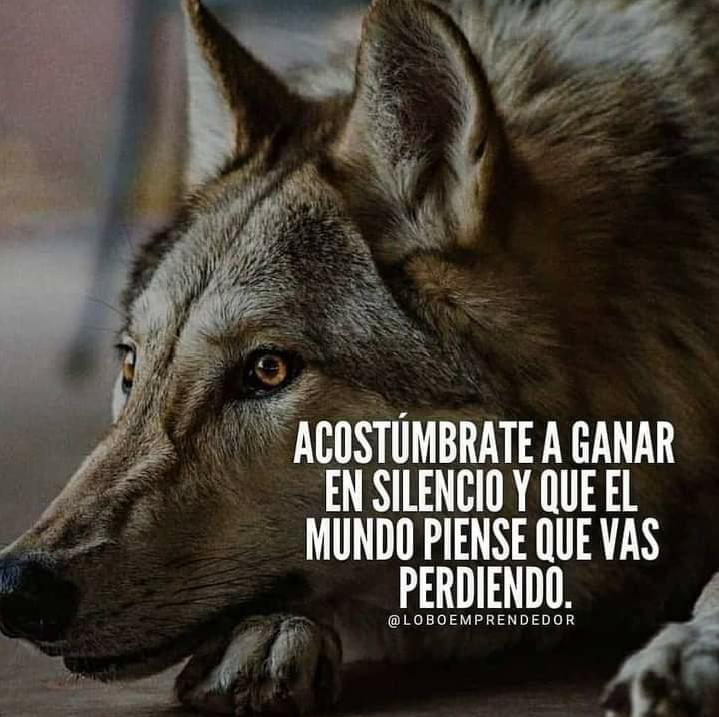 20201113_231839.png