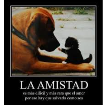 20201115_214150.png