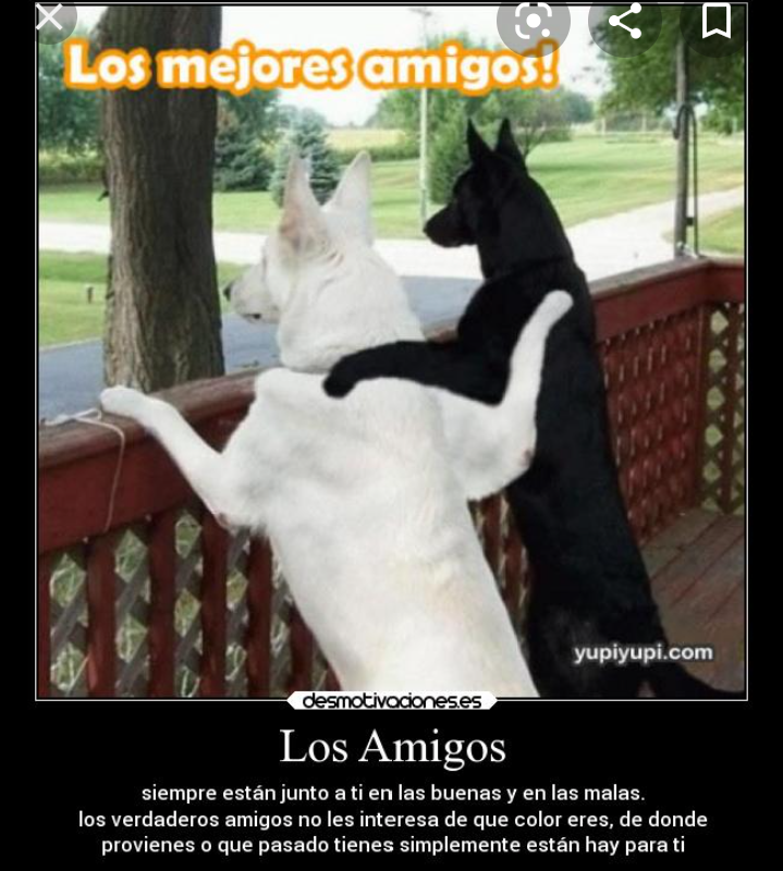 20201115_214836.png