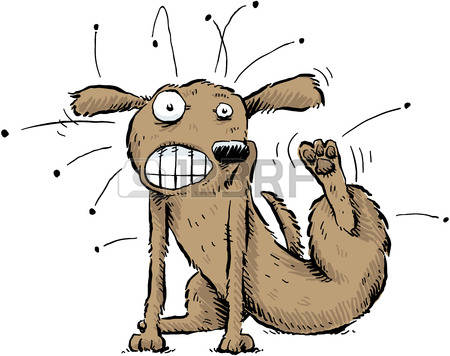 28030172-un-perro-de-dibujos-animados-se-rasca-las-pulgas-fuera-de-su-cuerpo.jpg