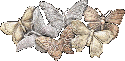 6252520MARIPOSAS252520BRILLOS.gif