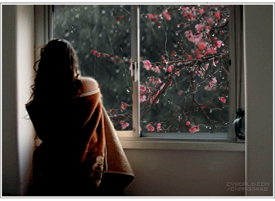 838b17e2d9ee030a10d863f7d33c0921.gif