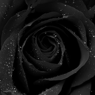 89b785a2-1065-45e7-96a1-5df8e5d318c6.jpg