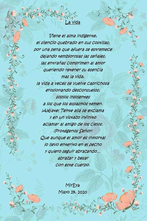 a56f2ab64f5fde26229b0510410d76fd - copia.jpg