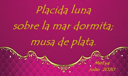 aef572ededcafa8e60600d44a221bdf7 - copia.jpg
