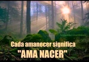 amanecer-ama-nacer-e1441351635415.jpg