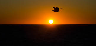 amanecer.jpg