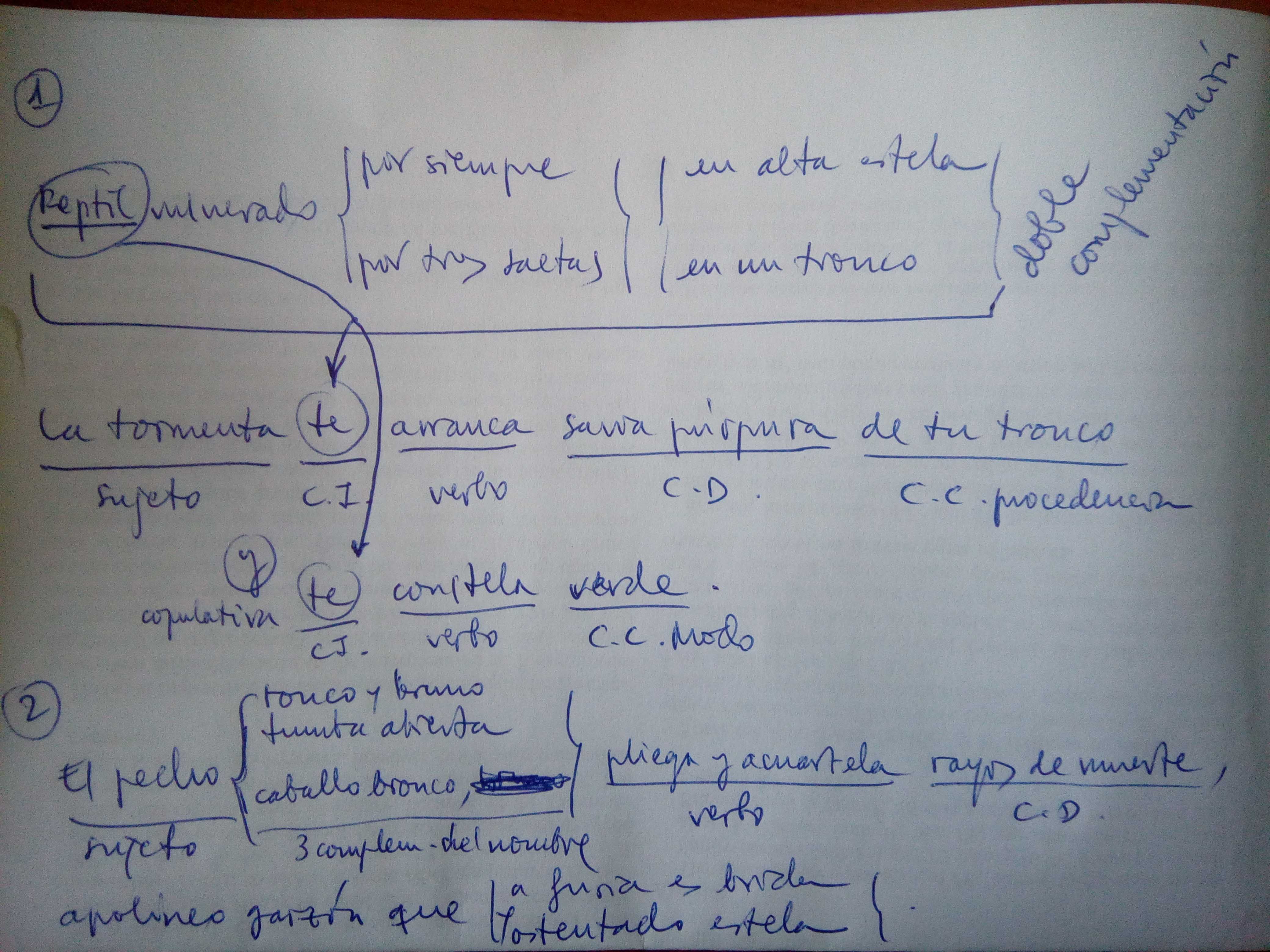 analisisSintactico.jpg
