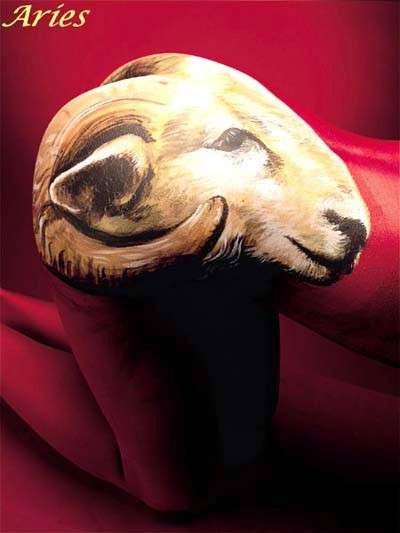 aries6.jpg