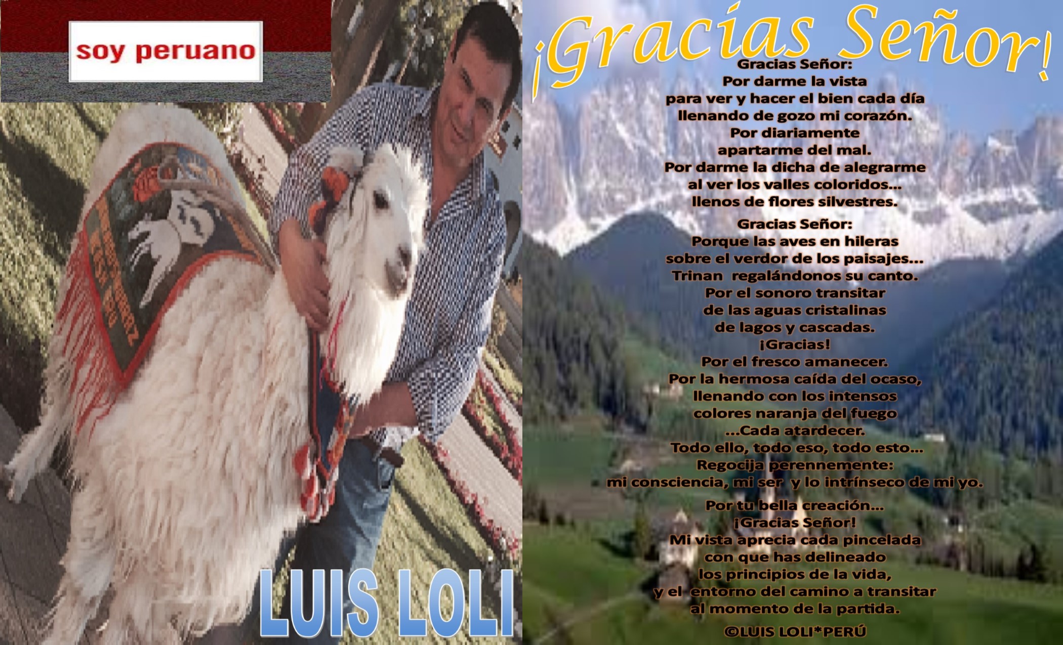 ARTEfinalPOEMAgraciasseñorLUISLOLI.jpg