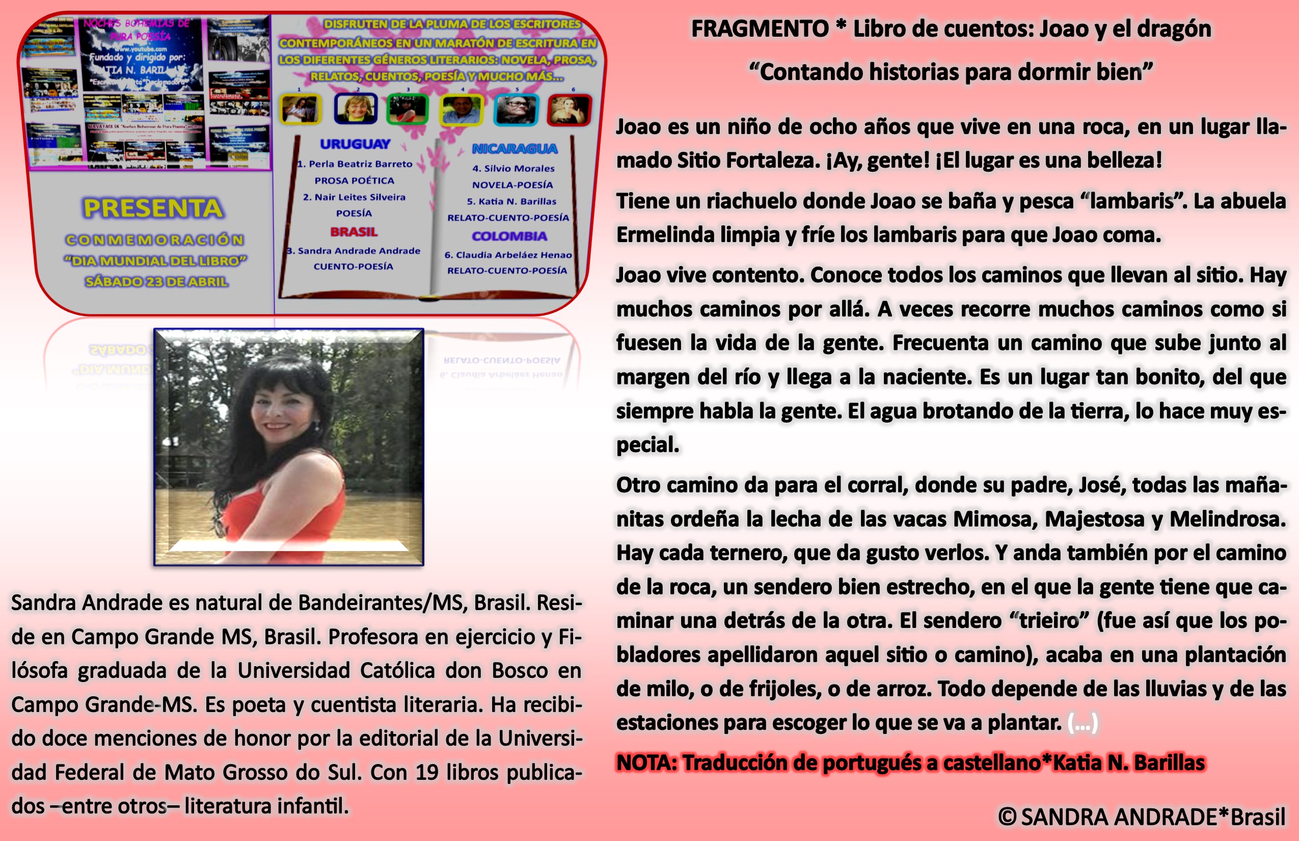 ARTEnbppDIALIBROsandraBRASIL.jpg
