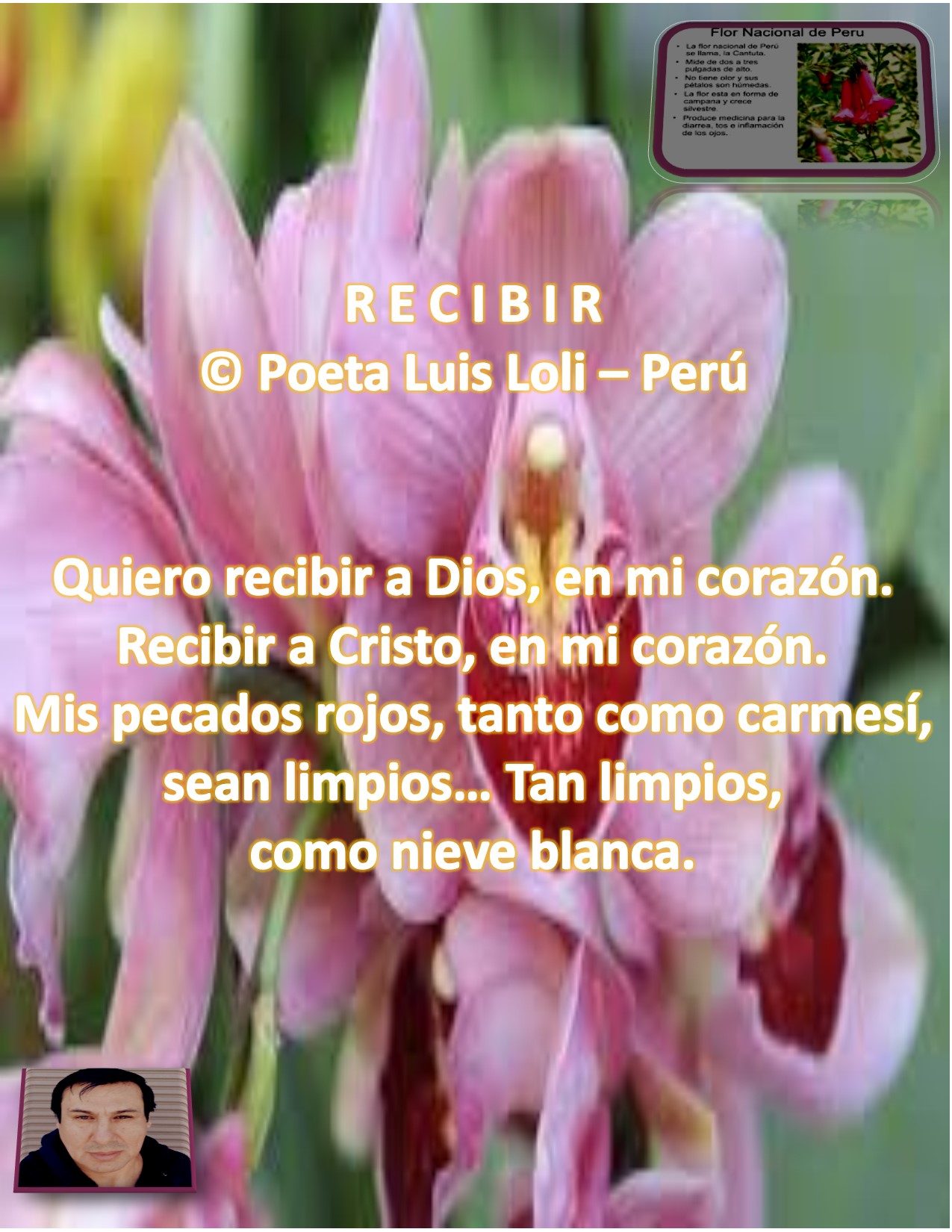 ARTErecibirLUISLOLIperú.jpg