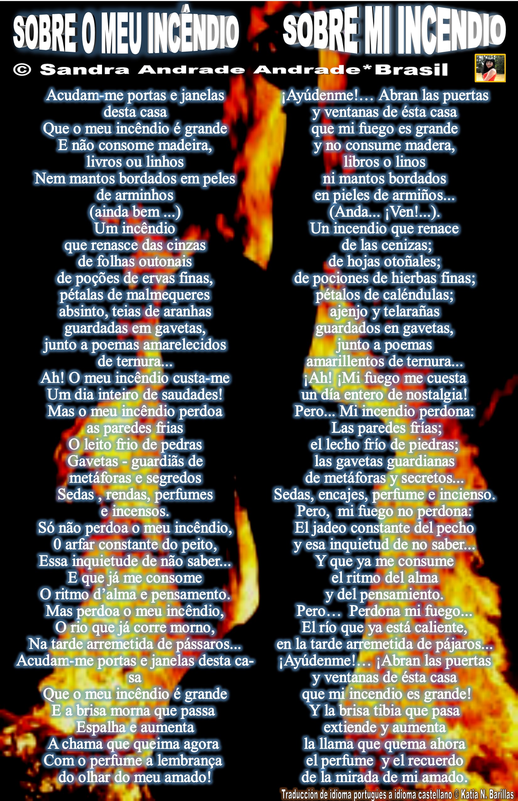 arteSANDRApoemaSOBREMIIINCENDIObras.jpg