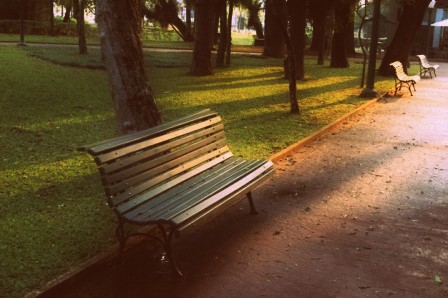 banco-verde-madera-plaza-arboles_146714-119.jpg
