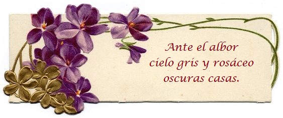 blog4.jpg