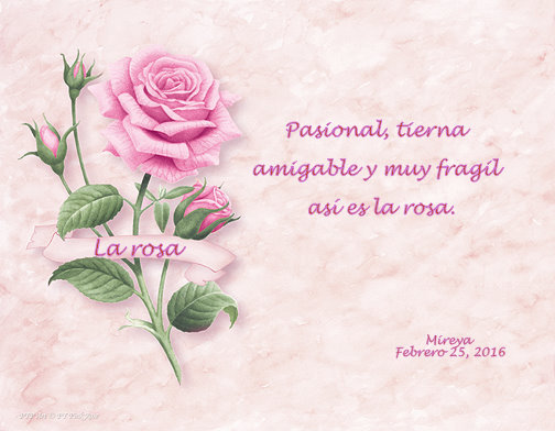 brevedad la rosa.jpg