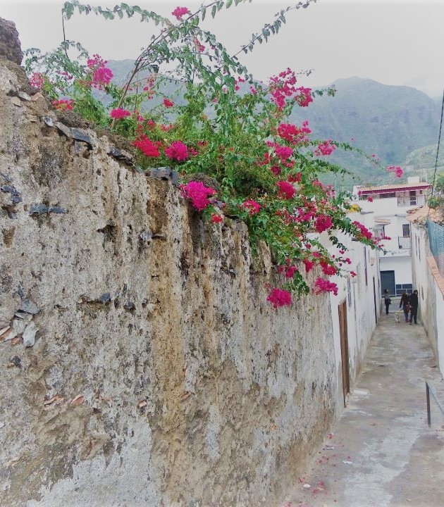 callejon antiguo.jpg