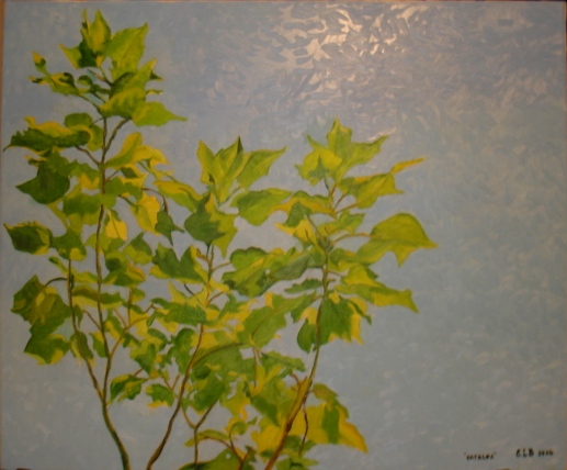 Catalpa 2016.JPG
