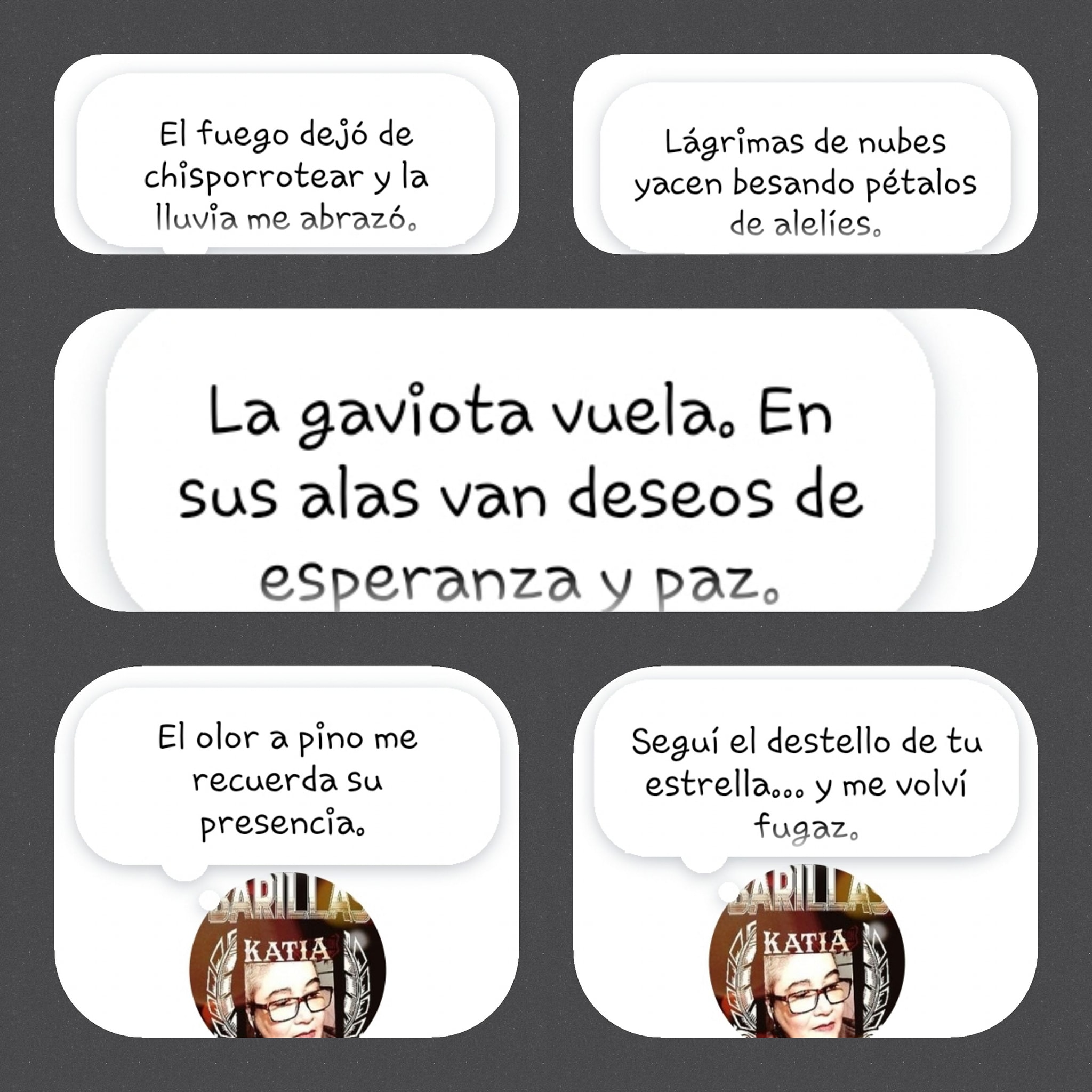 Centones....jpg