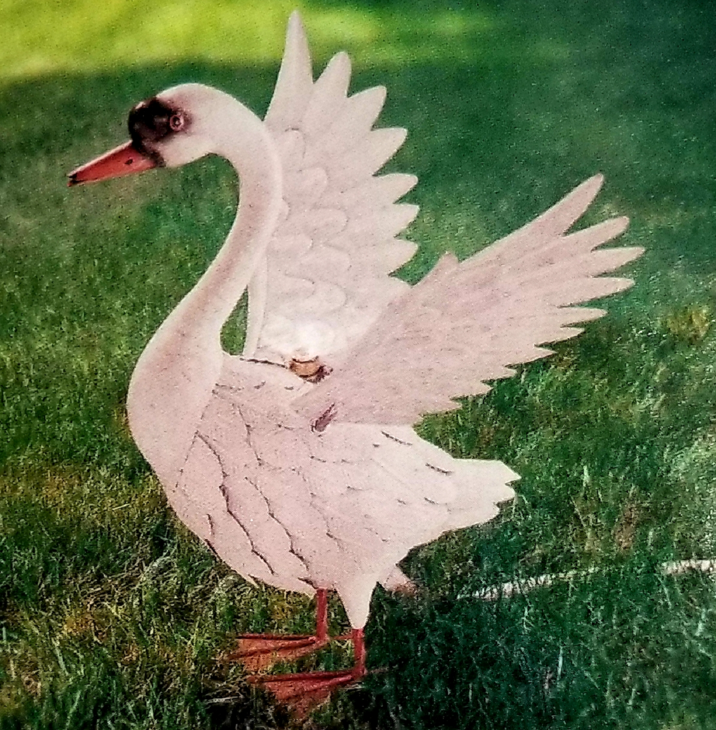 CISNES.png