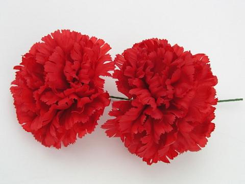clavel4.jpg