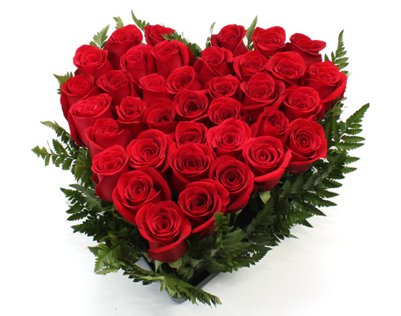 corazon-40rosas-g.jpg