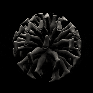 crazy-surreal-artistic-animation.gif
