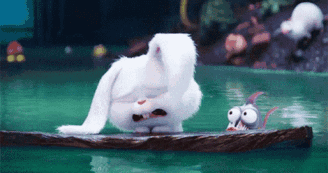 d29995b9-7d4d-4c30-80ad-2b26c06fcc52.gif