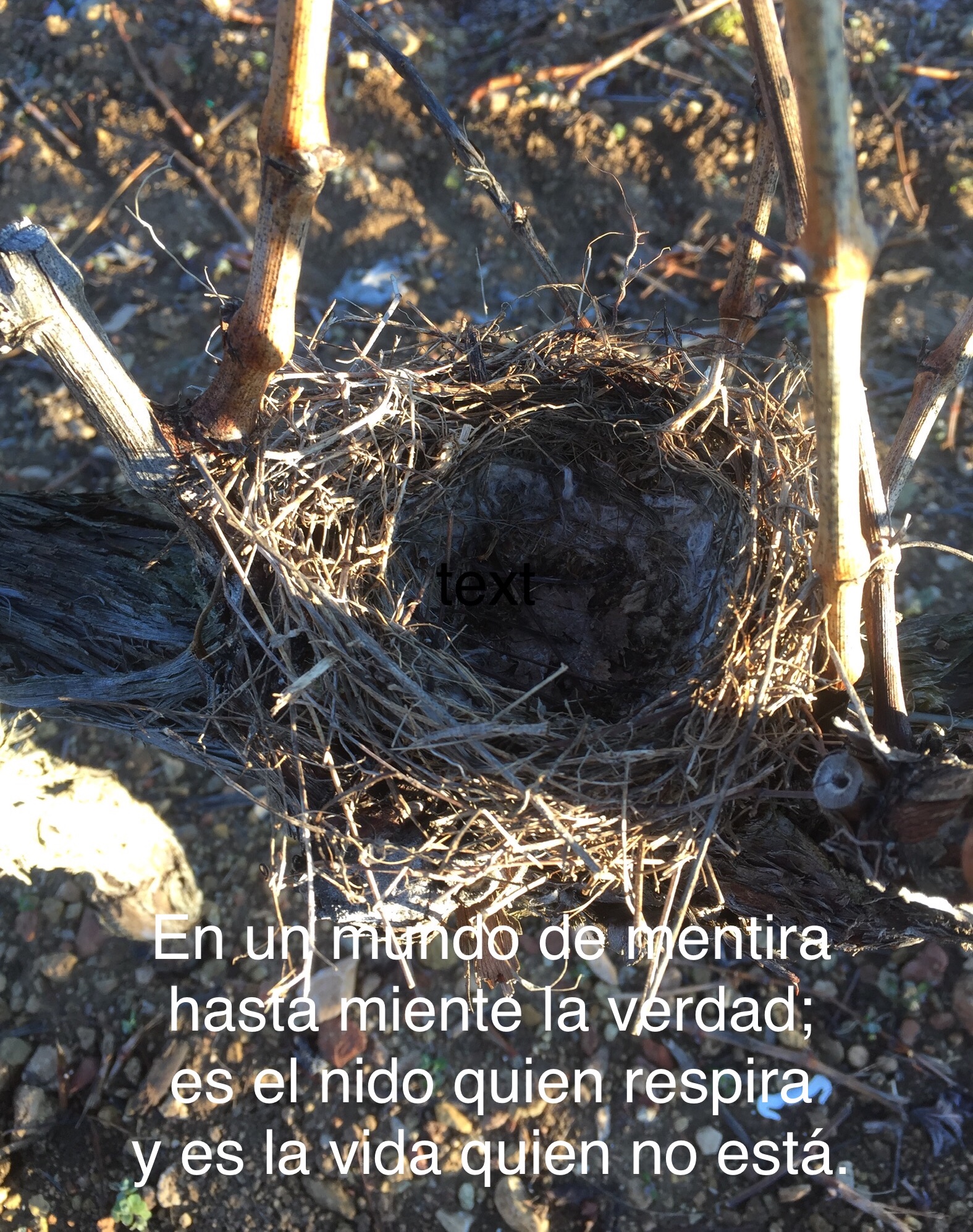 DB5D1B9D-00A3-4305-882E-197EFCF01E00.jpeg