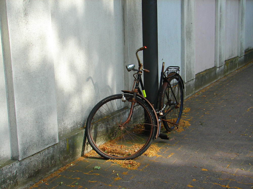 DSC01448-2 (2).jpg