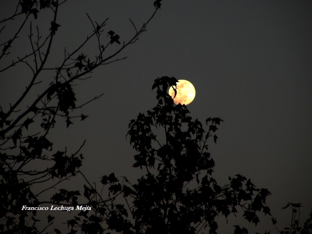 DSCN2228.jpg