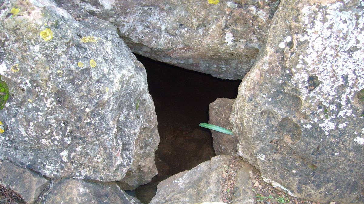 entrada-cova-dels-lladres.jpg