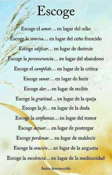 escoge.jpg
