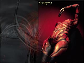 escorpio2.jpg