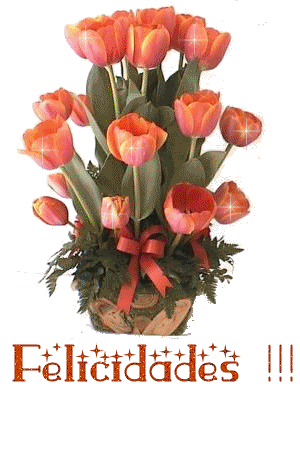 felicidades (36).gif