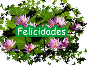 felicidades (40).jpg