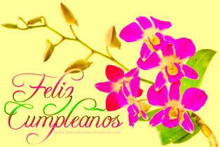 feliz-cumpleaños-orquideas-fucsia-verde.png