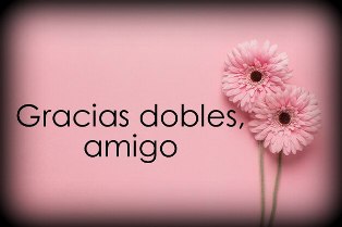 flores-color-rosa-rosa_24837-302.jpg