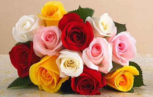 flores multicolores.jpg