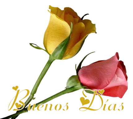flores1.gif