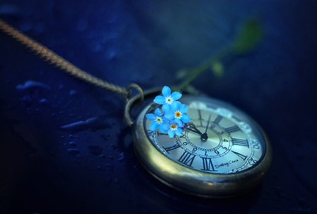 forget-me-not (1).jpg