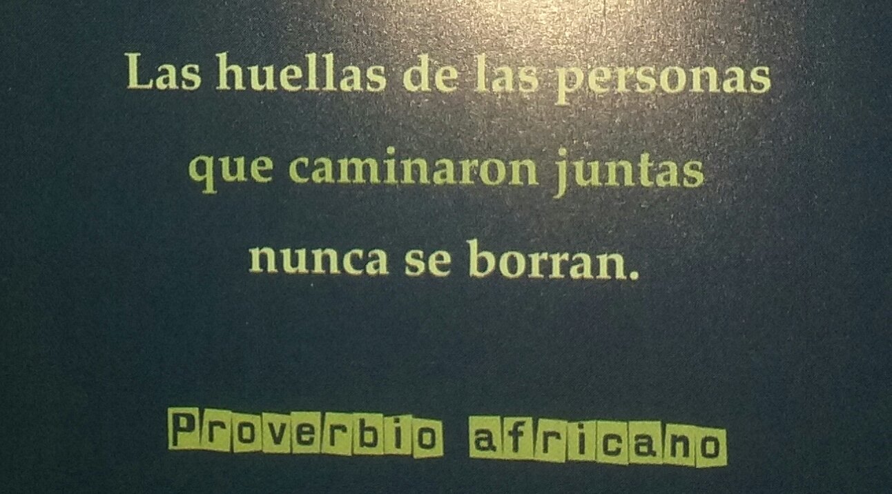 FRASESLOSBULHE.jpg